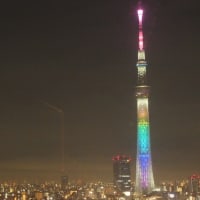 日向坂46の虹開催記念特別ライティング2