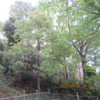 「木製ブランコ・イス」を移動します。