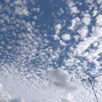 ようやく・・・