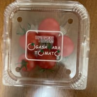 小笠原のミニトマト