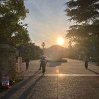 全てを通じて思う人との繋がり