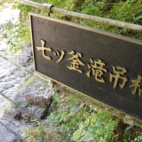 大杉谷　　日出ケ岳～桃ノ木小屋ピストン