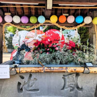 📸三津嚴島神社の手水舎が“夏詣仕様”に✨