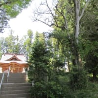 湫尾神社