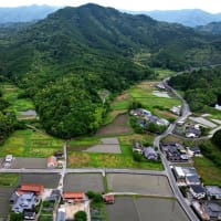 Ｓクミノンでタニシ退治