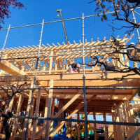建前総桧造りの家