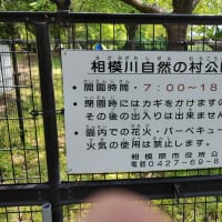 相模原自然の村公園に来てます。