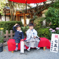 今年も無事に過ぎようとしています。＾＾