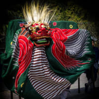 郡上八幡春祭り