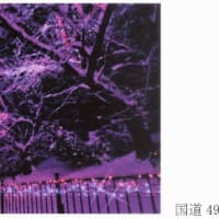 「大地主・市島邸の物語　77」　 市島邸をリニューアル（2016年）、第１部のまとめ→完　