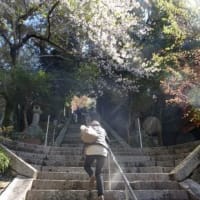 管理人の旅日記131　「滋賀の旅11　竹生島・宝厳寺・三重塔」