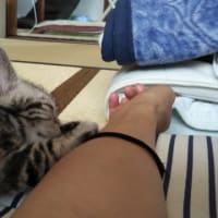 ろくちゃん記念日