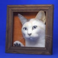 シロのヘッドモデル壁掛けタイプ