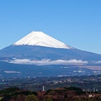 紅葉と富士山冠雪のコラボ