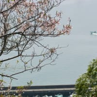 AIも花盛り