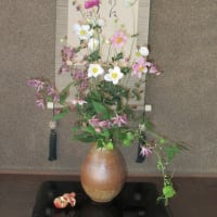 秋明菊がきれいですね。