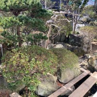 庭の事。卒園式。キャンプ場キャンセル！