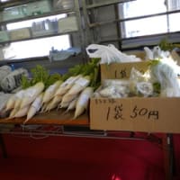 環境・ニコニコバザー　　食料品コーナー