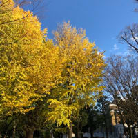 お散歩へ