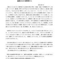長岡からの便り「猛暑を生きた夏野菜たち」