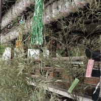 【京都幕間旅情】八坂神社-七夕,真夏は熱さこのさなかでは危険な屋外を巡るいまの京都散歩という難しさ