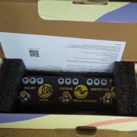 マルチエフェクター Donner Alpha Cruncher 購入