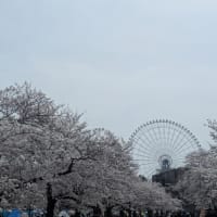 万博記念公園