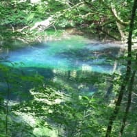 ◎白神山地旅行（まとめ） 2014年6月26～28日