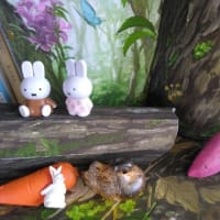 「来て・観て・作ろう展」開催しました！