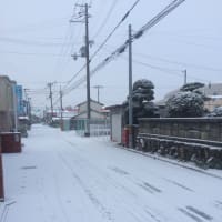 小野市は今朝も雪…