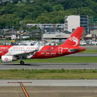 長竜航空の特別塗装機　福岡空港