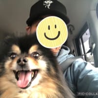 他人に頼み事ができない体質