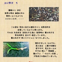   土に学ぶ　５