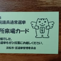 期日前投票