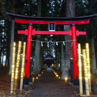 かがよふ灯り　水上の竹灯籠