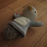 ノッコちゃん
