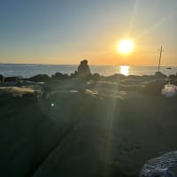 日南海岸地磯