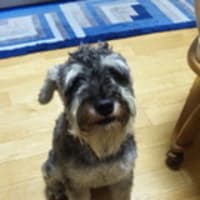 １年が経った日☆