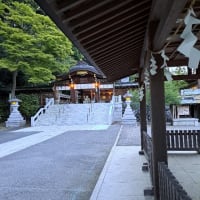 初夏の夕暮れ、境内に