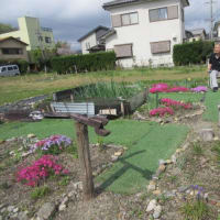 616.都会と田舎の違い、及び、田舎くらしの勧め