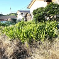 6月20日(金)②