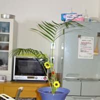 お花を生けました