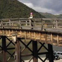錦帯橋（きんたいきょう）2015年 in 山口県岩国市