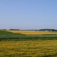 美瑛みたい～♪ in 由仁町