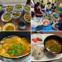 梅の実が熟すころ　〜　美味しくなる一手間〜