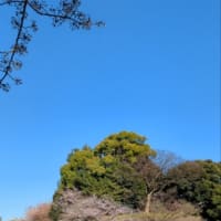 通院後お散歩