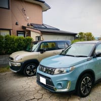 ギプス外れる