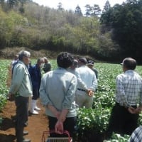 村田町でそらまめの栽培講習会を開催しました！