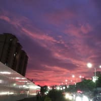 夕焼けが綺麗！