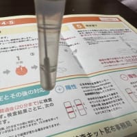 抗原検査キット
